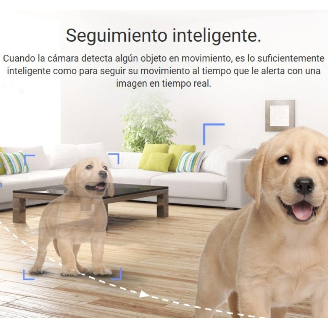 Texto alternativo de imagen