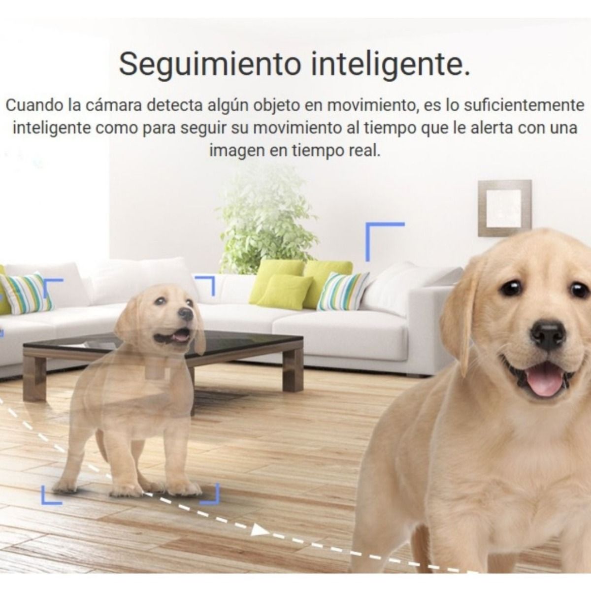 Texto alternativo de imagen