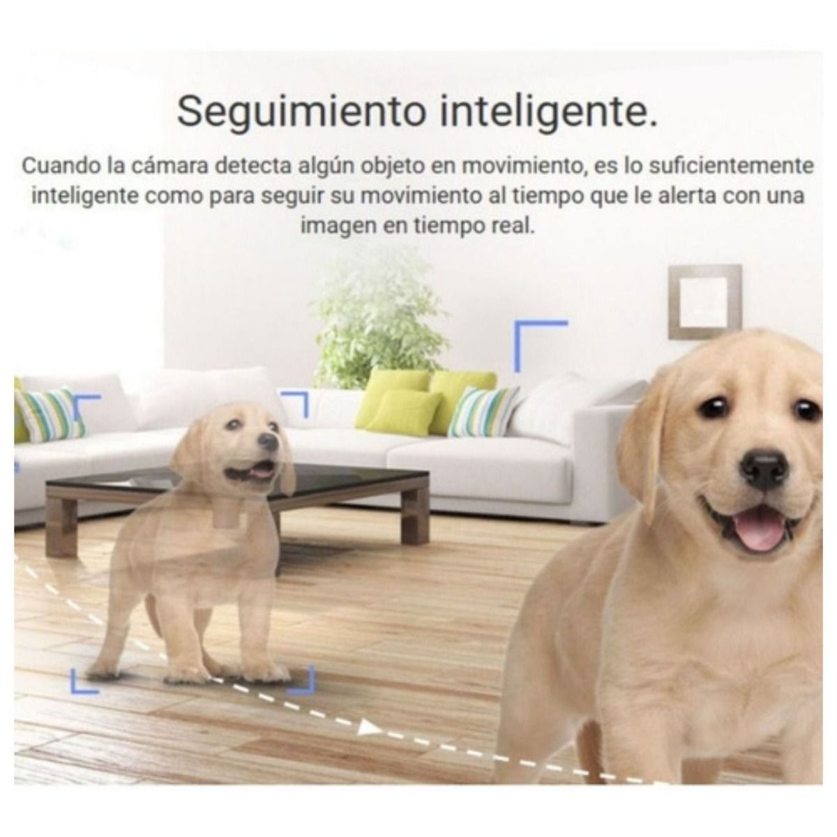Texto alternativo de imagen